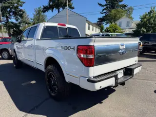 2010 Ford F-150 Platinum