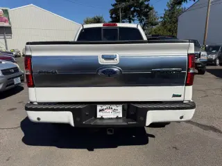 2010 Ford F-150 Platinum