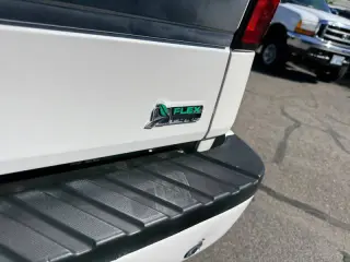 2010 Ford F-150 Platinum
