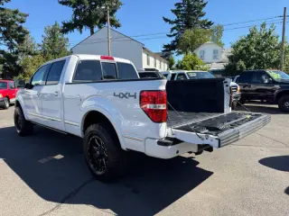 2010 Ford F-150 Platinum
