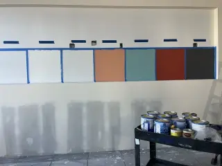 Pintor porfesional am
