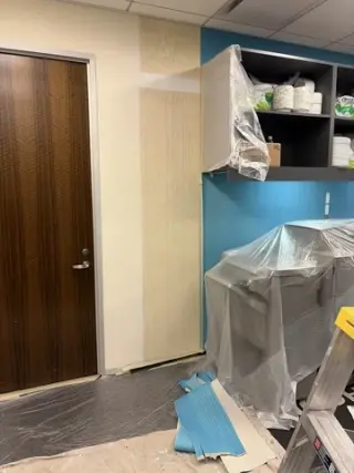 Pintor porfesional am