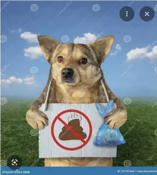 Limpieza dog 💩 poop limpieza
