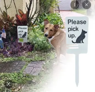 Limpieza dog 💩 poop limpieza