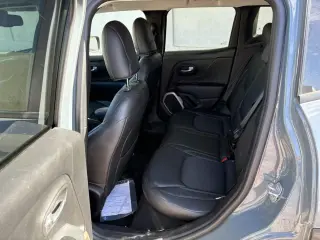 2017 Jeep Renegade Deserthawk