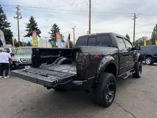2010 Ford F-150 FX4