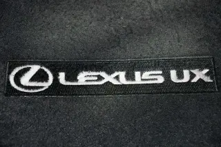 2021 Lexus UX 250h