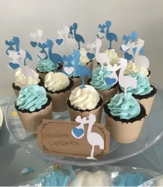Rentamos para Babyshower 🐻