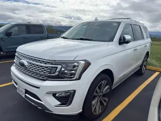 Ford Expedition 2020 4x4 Platinum 4dr SUV