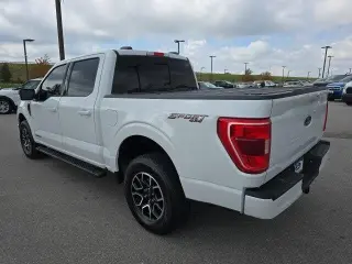 Ford F-150 2023 4x4 XL 4dr SuperCrew 5.5 ft. SB