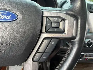 Ford Expedition 2019 4x4 Platinum 4dr SUV