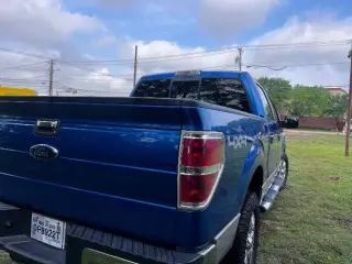 2010 Ford F-150