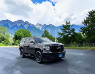 2020 Chevrolet Tahoe
LS