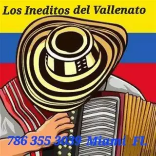 AGRUPACIÓN VALLENATA MIAMI FL.