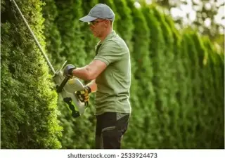 Inicia  ›  Empleos  ›  Varios