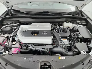 Lexus UX 250h 2024 4dr Crossover