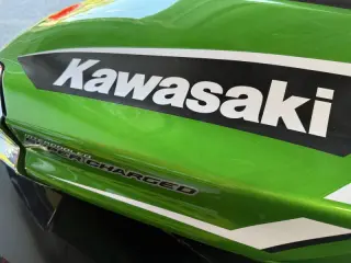2018 Kawasaki ULTRA310LX