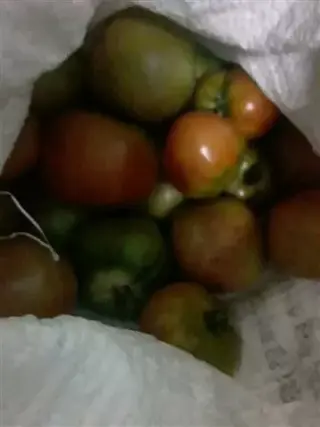 Grúas cerca de mi ubicación 24