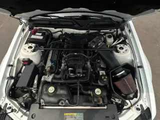 2008 Ford Shelby GT500