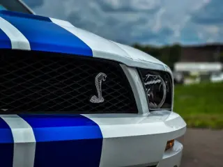 2008 Ford Shelby GT500