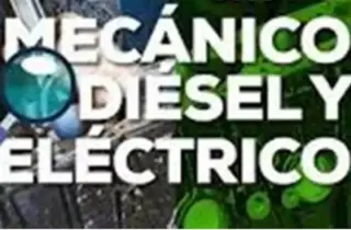 CAMBIA el ACEITE a TRANSMISION