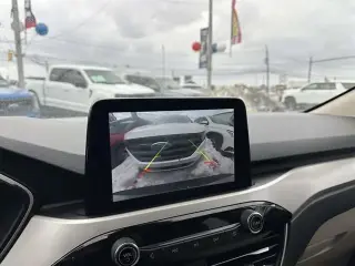 Ford Escape 2020 AWD SE 4dr SUV