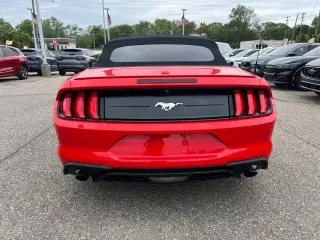 Ford Mustang 2021 EcoBoost 2dr Convertible