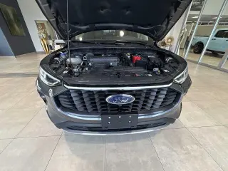 Ford Escape 2024 AWD Platinum 4dr SUV