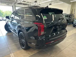 Hyundai PALISADE 2024 AWD Calligraphy 4dr SUV