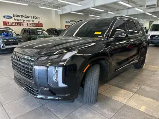 Hyundai PALISADE 2024 AWD Calligraphy 4dr SUV