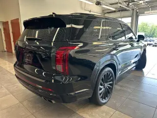 Hyundai PALISADE 2024 AWD Calligraphy 4dr SUV