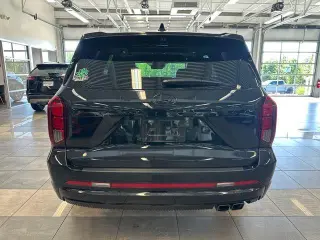 Hyundai PALISADE 2024 AWD Calligraphy 4dr SUV