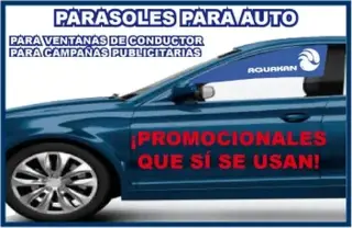 CORTINAS PARA AUTO IMPRESAS