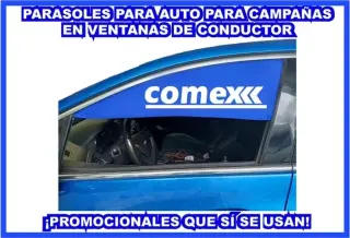 CORTINAS PARA AUTO IMPRESAS