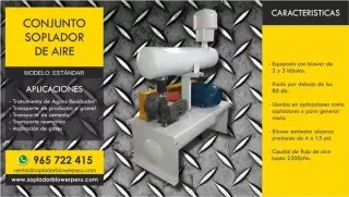 SOPLADOR BLOWER DE LOBULOS