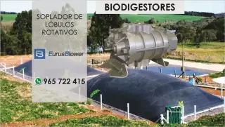 SOPLADOR BLOWER DE LOBULOS