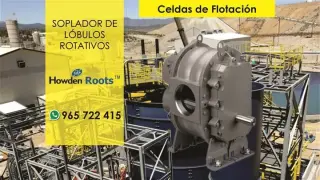 SOPLADOR BLOWER DE LOBULOS