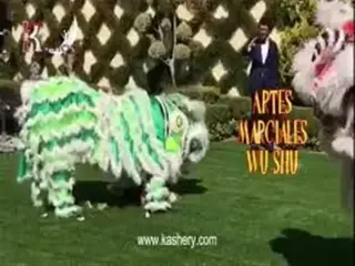 Dragones chinos para eventos