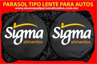 PARASOLES PARA AUTO SI SE USAN