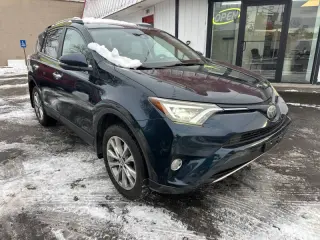 2017 Toyota RAV4 Platinum