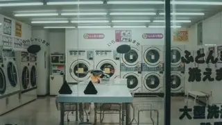 Venta de Lavanderias en Miami