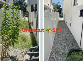 Corte de Pasto (los Angeles)