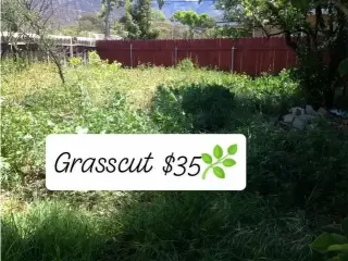 Corte de Pasto (los Angeles)