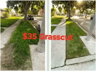 Corte de Pasto (los Angeles)