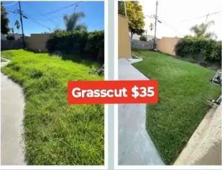 Corte de Pasto (los Angeles)