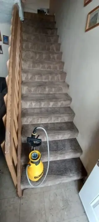 Limpieza Profesional De Alfomb