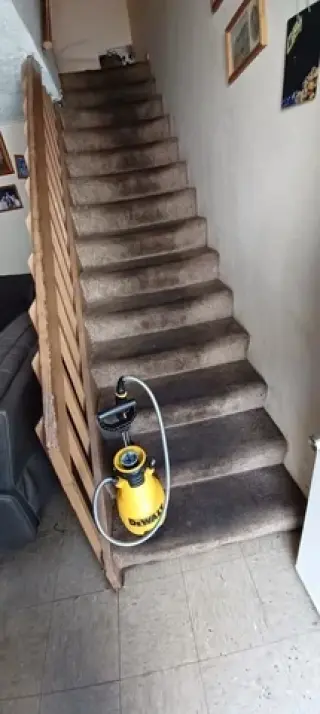 Limpieza Profesional De Alfomb