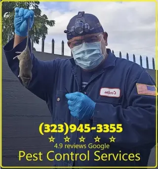 FUMIGACIONES HUNTINGTON PARK