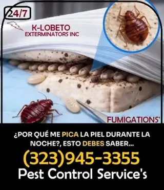 FUMIGACIONES HUNTINGTON PARK