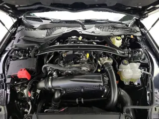 Ford Mustang 2025 EcoBoost 2dr Convertible
